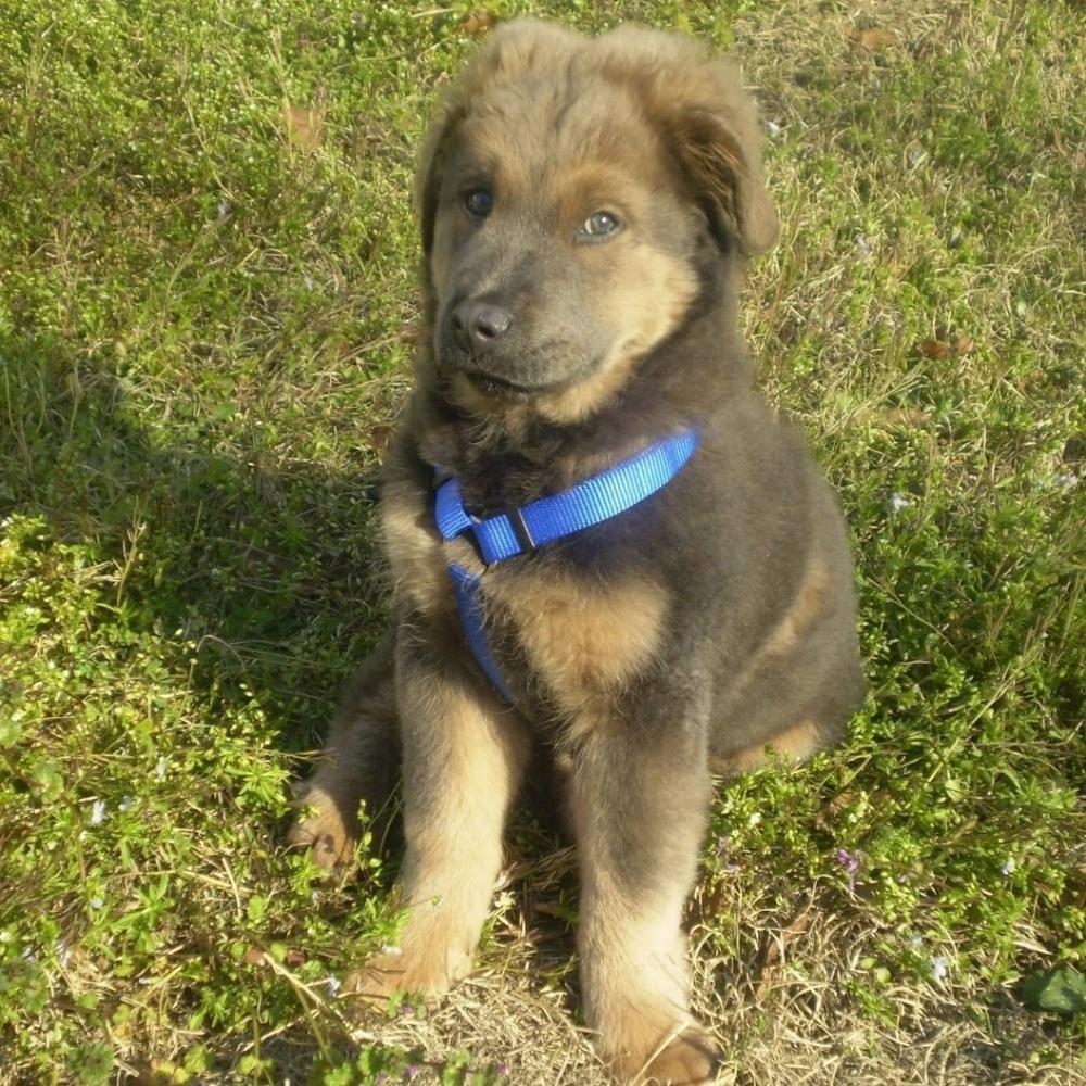 Meet your Posher, Lori